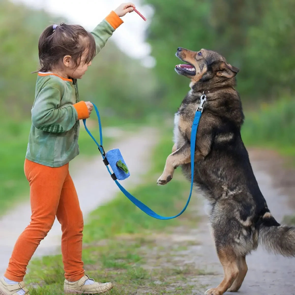 Pet Poop Bag Dispenser