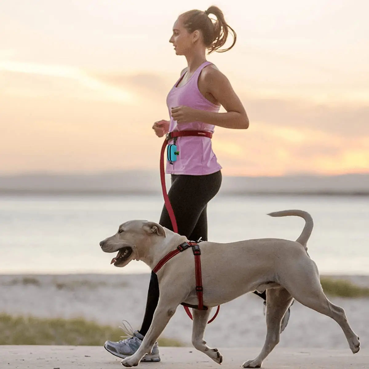 Pet Poop Bag Dispenser